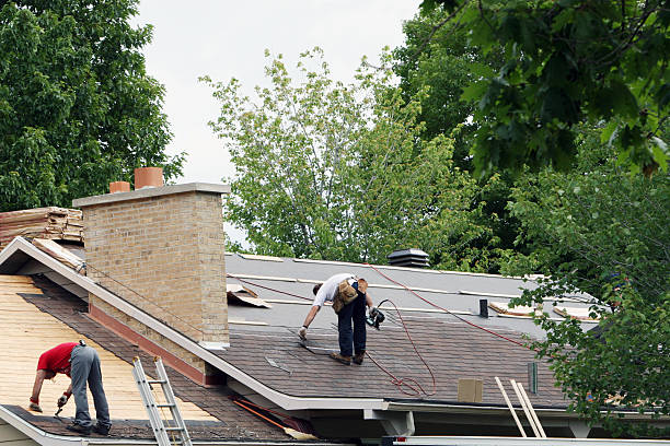 Best Rubber Roofing (EPDM, TPO)  in Virginia, MN