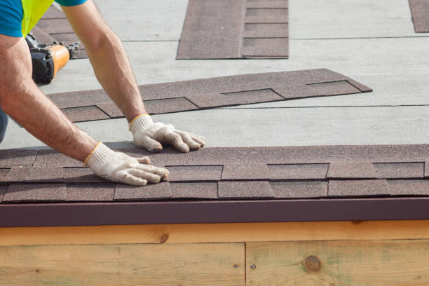Best Asphalt Shingles Roofing  in Virginia, MN